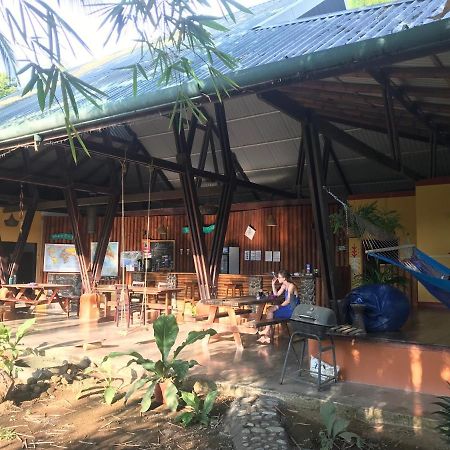 Luminosa Uvita Hostel Exteriér fotografie