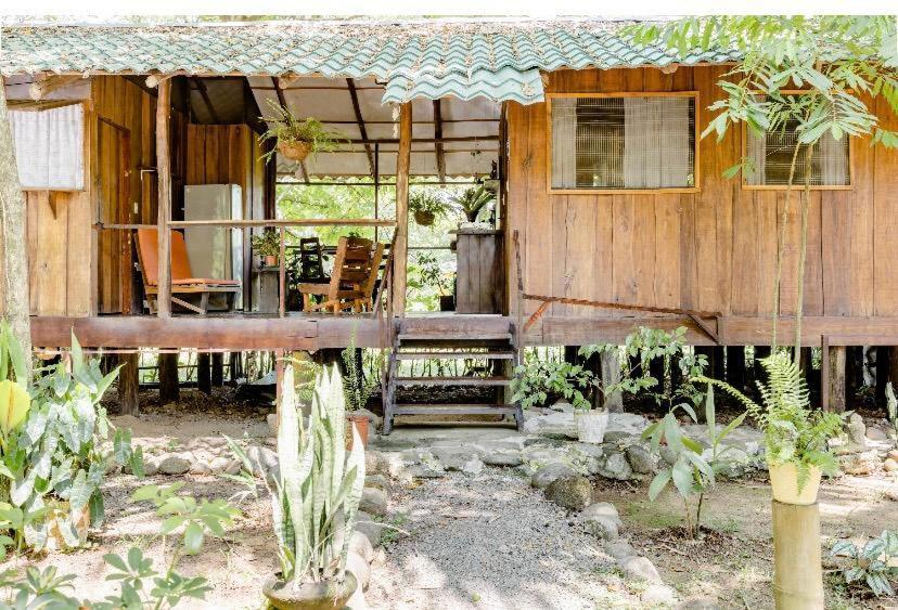 Luminosa Uvita Hostel Exteriér fotografie
