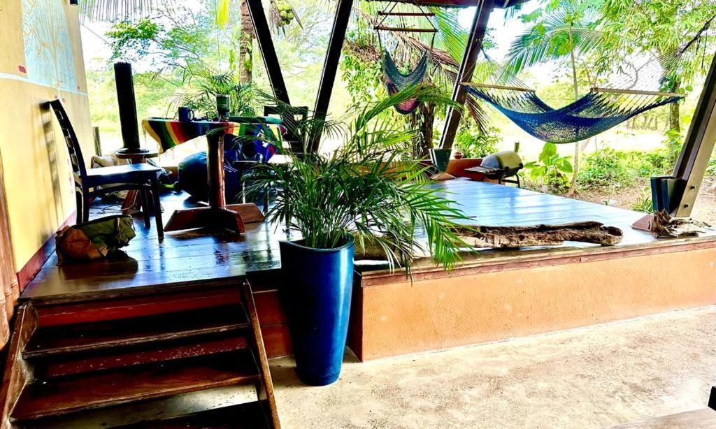 Luminosa Uvita Hostel Exteriér fotografie